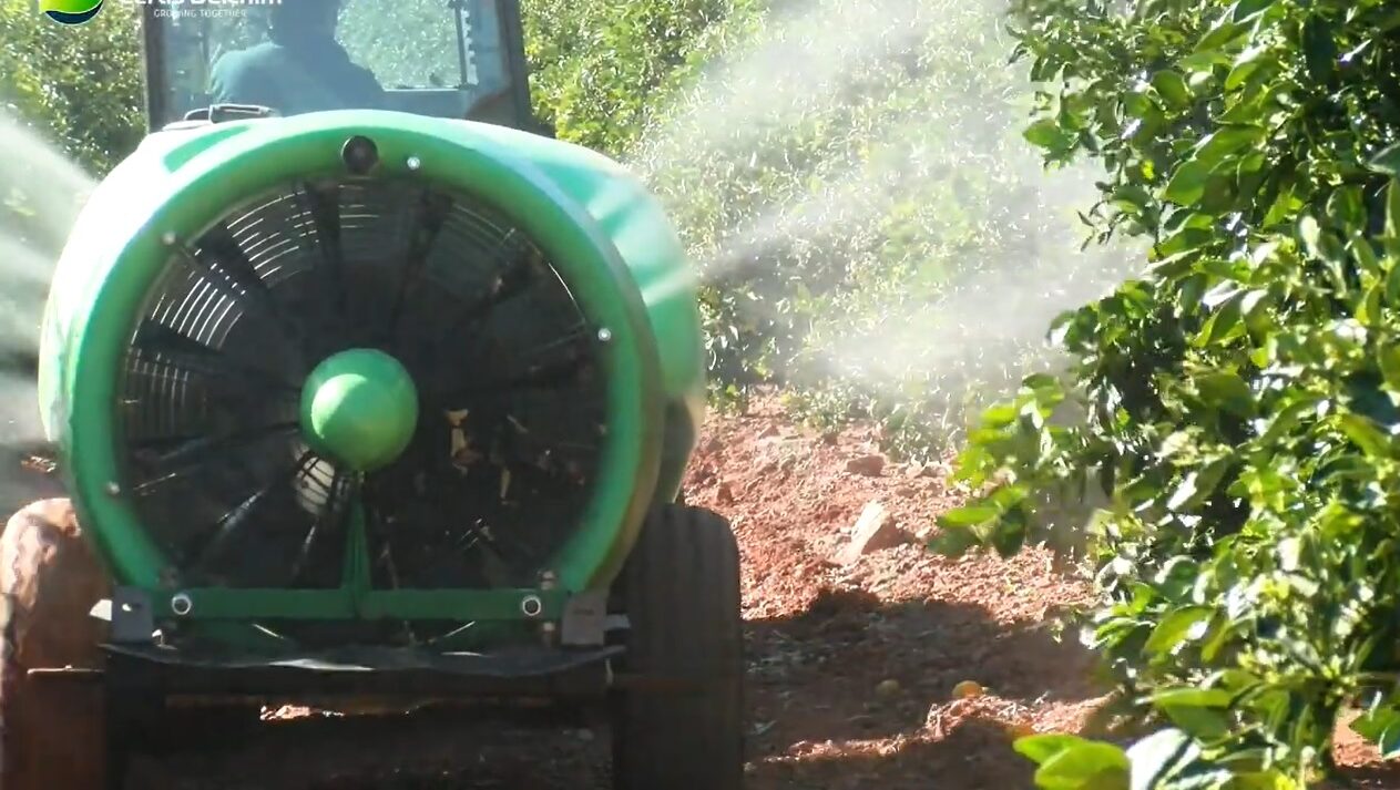 certis Campaña cítricos|HVCJ3768-768x576|IMG_5826-600x450|IMG_6094-768x576|IMG_6107-768x576